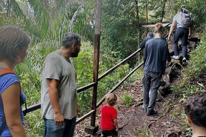 Bako National Park : Nature & Wildlife - Arriving at Bako: First Impressions