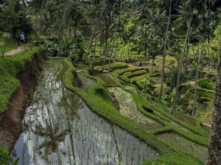 Bali: 3-Day Honeymoon Tour W/Private Car & Customize Tour - What to Expect and Practical Tips