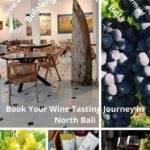 Bali: 5-Day North Bali Coastal Wine & Dolphin Tour Package - Diving Into the Details of the North Bali Experience