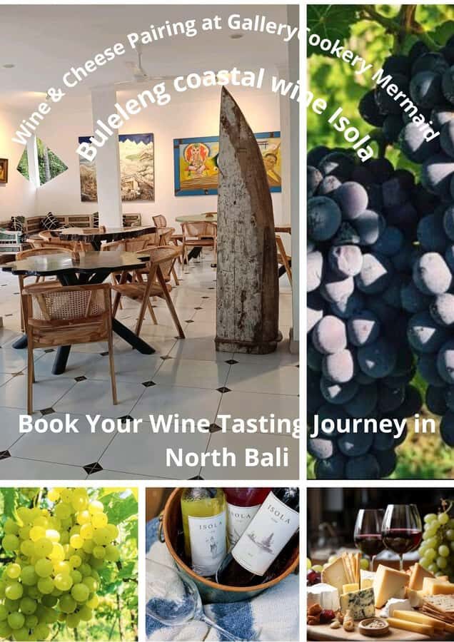 Bali: 5-Day North Bali Coastal Wine & Dolphin Tour Package - Diving Into the Details of the North Bali Experience