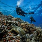 Bali, Amed: Advanced Open Water Course with Kayak Adventure - Detailed Itinerary Breakdown