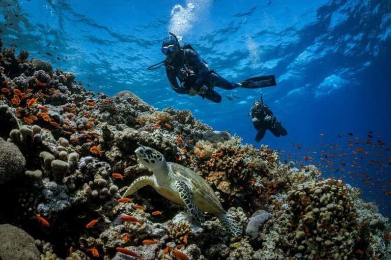 Bali, Amed: Advanced Open Water Course with Kayak Adventure - Detailed Itinerary Breakdown