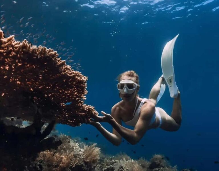 Bali/Amed: Underwater Temple Snorkeling Experience - Discovering Ameds Marine Magic