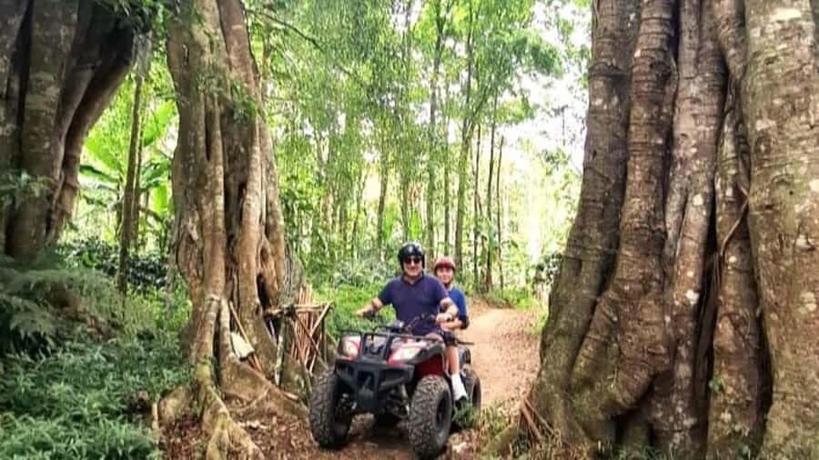 Bali: ATV Ride with Waterfall and Forest Trails - The Sum Up