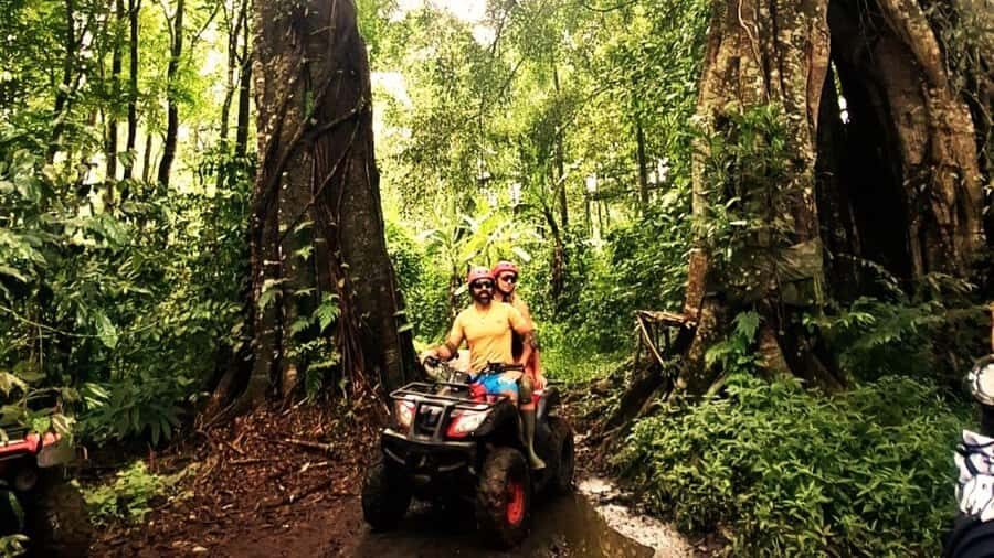 Bali: ATV Ride with Waterfall and Jungle Trails - What You Can Expect from the Tour