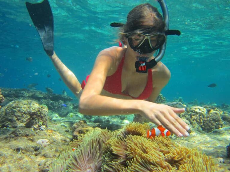 Bali: Basic Snorkeling at Menjangan Island - Why Choose This Tour?