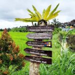 Bali: Bedugul Cultural & Nature Discovery Full Day Tour - Practical Tips for the Tour