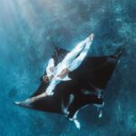 Bali : Best Trip of Nusapenida Island in one day - Deep Dive into the Itinerary