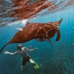 Bali : Best Trip of Nusapenida Island in one day - The Authentic Experience of a Nusa Penida Day Trip