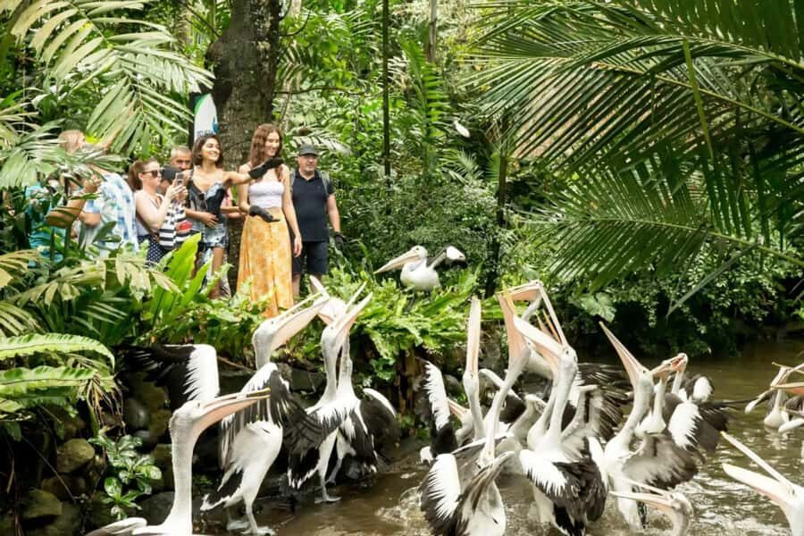 Bali Bird Park & Pirate Dinner Cruise the Unique Adventure - What to Expect: Practical Details