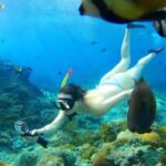 Bali: Blue Lagoon and Tanjung Jepun Snorkeling Tour - Who Is This Tour Perfect For?