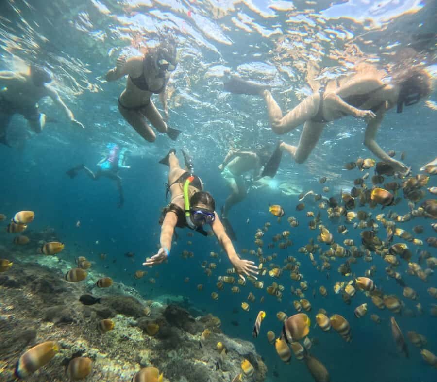 Bali Blue Lagoon and Tanjung Jepun Snorkeling Tour with - What Travelers Should Consider