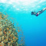 Bali: Blue Lagoon Snorkel & Tenganan Village Trip with Lunch - Unpacking the Experience: What to Expect