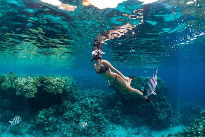 Bali Blue Lagoon Snorkeling Tour All Inclusive - Why This Tour Works