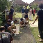 Bali: Budaya Cultural Village Tour with Locals - Who Is This Tour Perfect For?