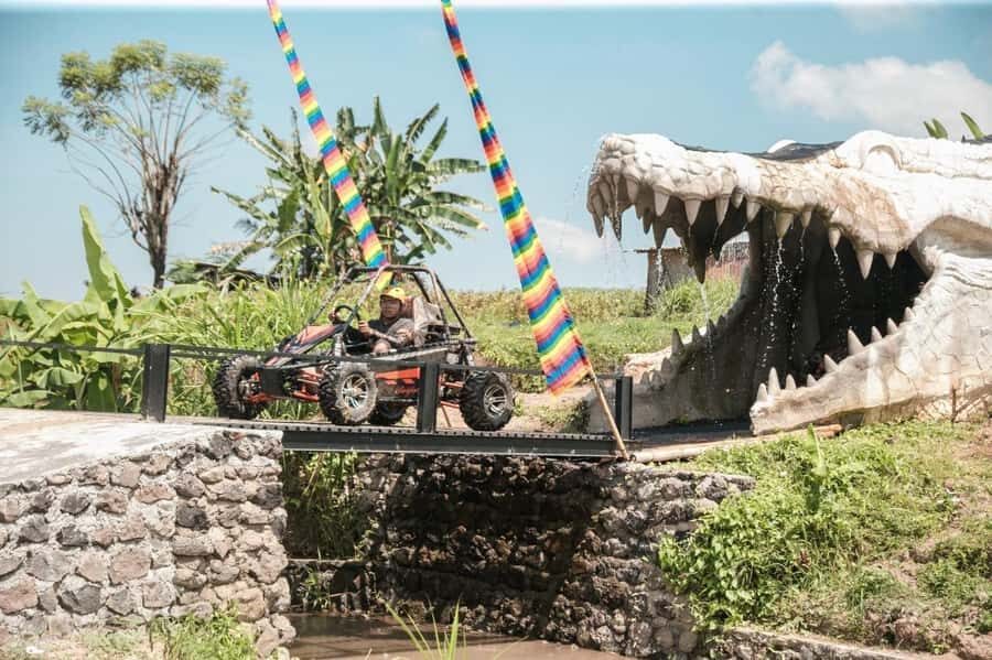 Bali: Buggy Adventure Ride and Waterfall Tour with Lunch - The Itinerary in Detail