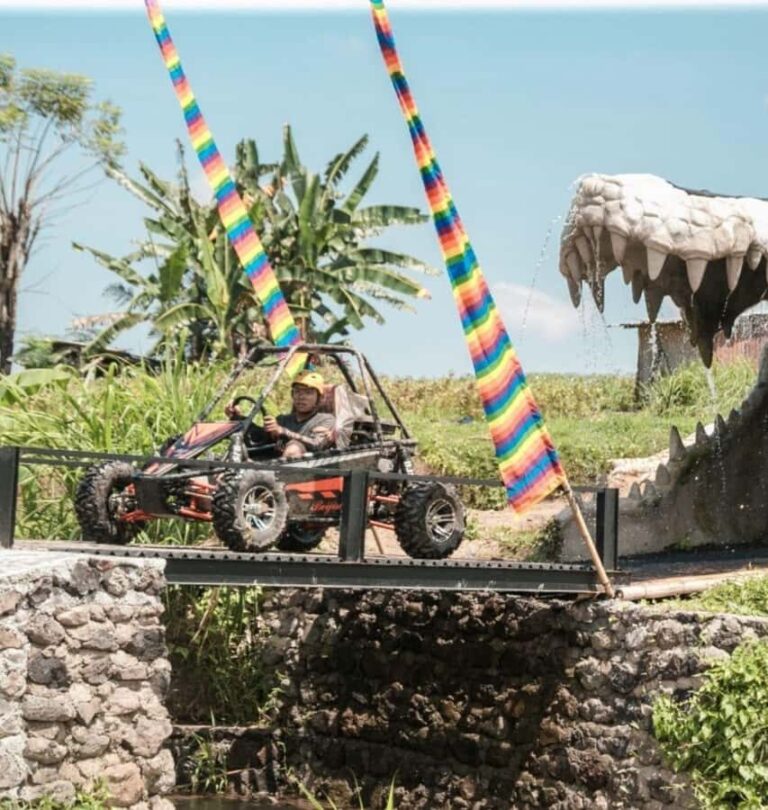 Bali Buggy Adventure Tour Tandem Ride - What to Expect During the Tour