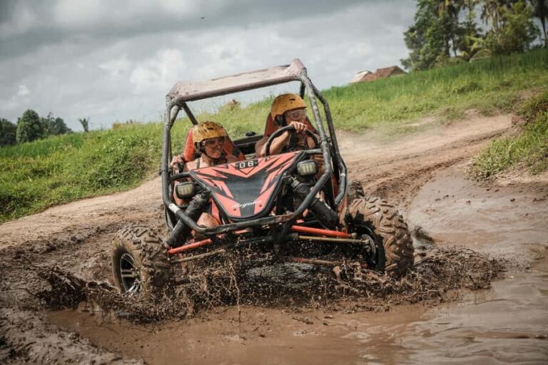 Bali Buggy Adventure with Hotel Pickup - Analyzing the Tour Itinerary