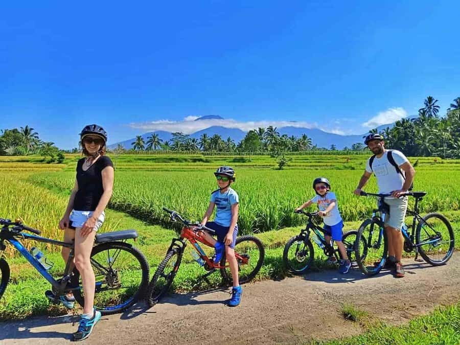 Bali: Countryside on Two Wheels Cycling Adventure - Why Choose This Tour?