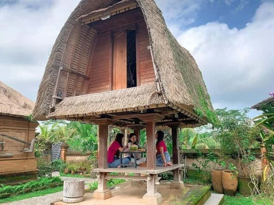 Bali: Countryside, Temple, Ricefield, Volcano with Lunch - Practical Details & Value