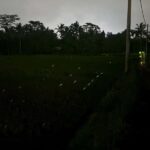 Bali: Cultural Ritual, Local Cuisine & Firefly Adventure - Why This Tour Offers Great Value