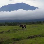 Bali: Customised East Bali Tour with Transfer Hotel - Transportation and Timing: Why They Matter