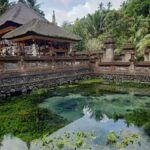 Bali: Customize Private Day Tour with Driver-Guide - Who Should Consider This Tour?