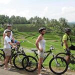 Bali: Cycling Tour with Lunch and Hotel Transfer - Practical Tips for Your Cycling Adventure