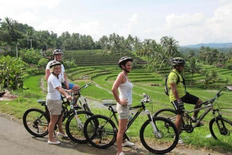 Bali: Cycling Tour with Lunch and Hotel Transfer - Practical Tips for Your Cycling Adventure
