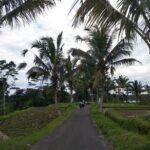 Bali Cycling with ATV Quadbike - What Past Travelers Say