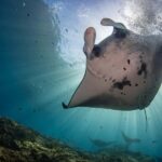 Bali Day Trip Nusa Penida with Premium Private Boat or Yacht - The Value of a Private, Tailored Experience