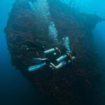 Bali Day Trip: Try Diving at Liberty Shipwreck & Kayak Trip - Authentic Reviews & Insights