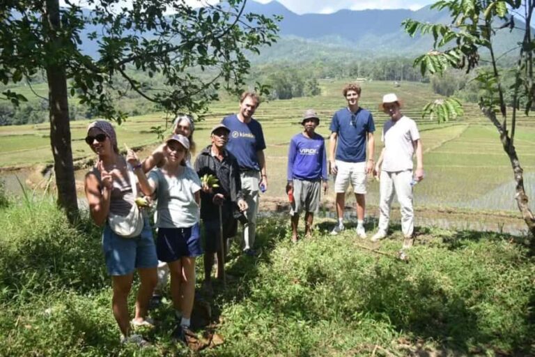 Bali: Day Trip Ubud and Tegallalang Rice Terrace Tour - Why This Tour Offers Good Value