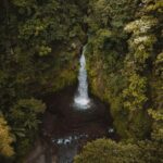 Bali: Discover Jungle Waterfalls and Rice Terraces - Authentic Experiences & Genuine Value