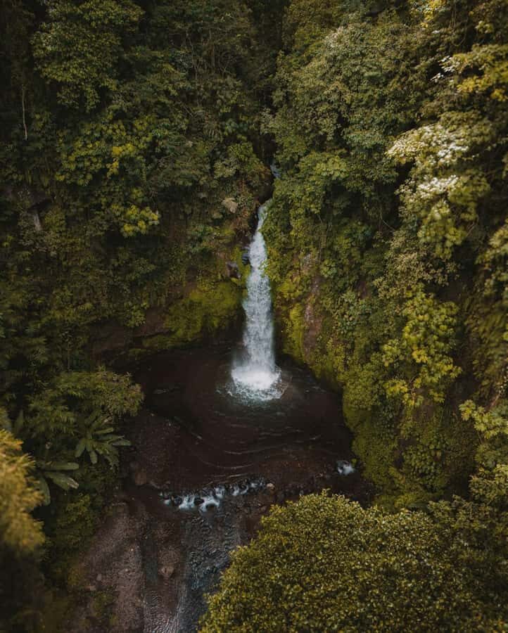 Bali: Discover Jungle Waterfalls and Rice Terraces - Authentic Experiences & Genuine Value