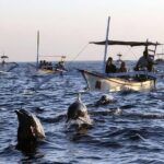 Bali Dolphin Lovina Watching, Swimming and Snorkeling Tour - Who Should Consider This Tour?