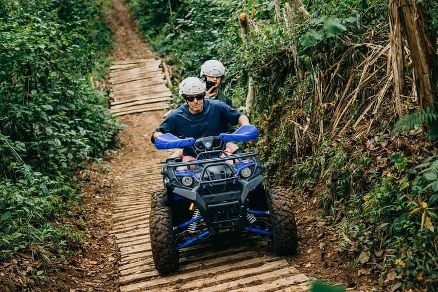 Bali: Dolphin Swimming Tour with ATV Quad Bike & Waterfall - The Scenic Journey to Wanagiri Hidden Hill and Coffee Plantations