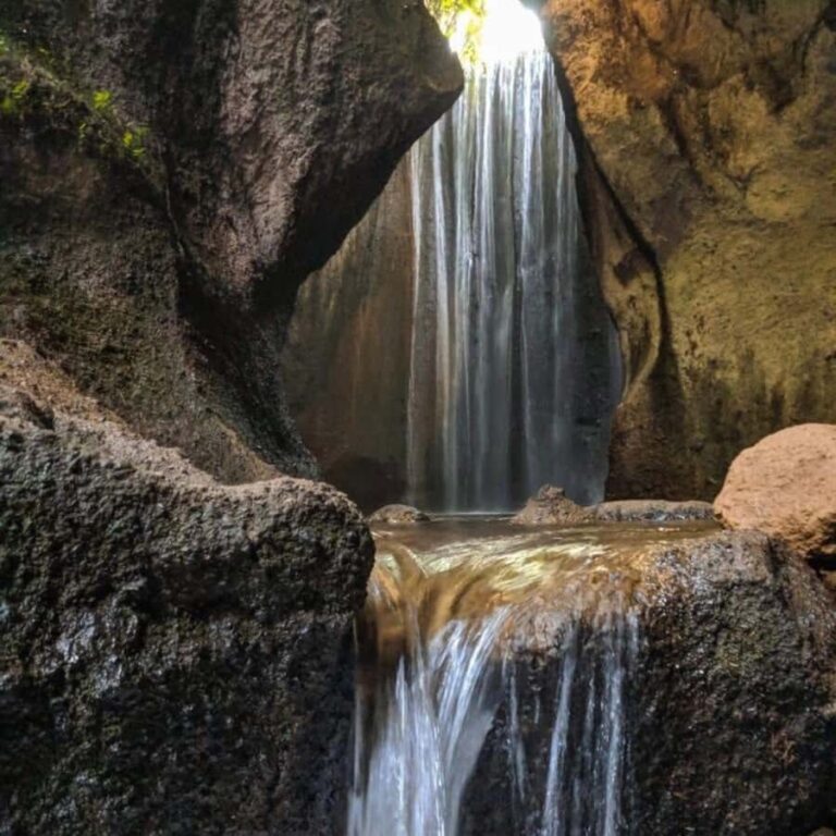 Bali : Eastern Bali and Pura Besakih Temple Tour - What Makes This Tour Stand Out?