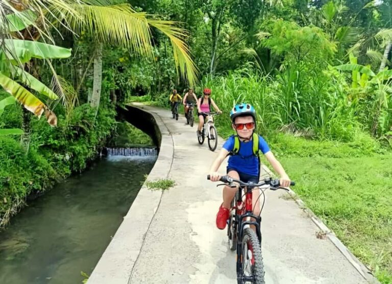 Bali Easy Countryside Cycling with Rice Fields & Local Life - Final Thoughts