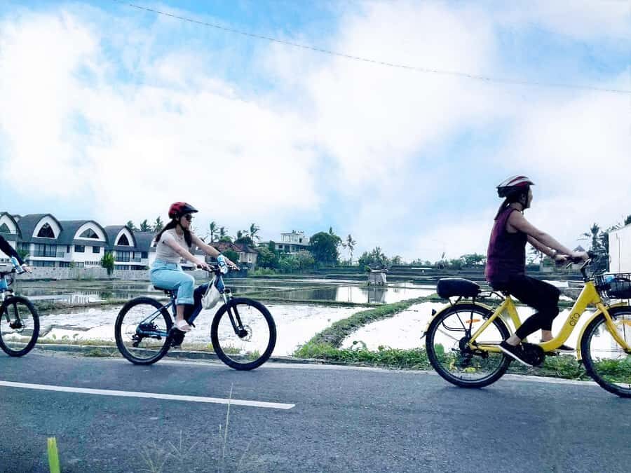 Bali: Electric Bike Cycle Tour through Rice Terrace - Practical Details: What to Expect