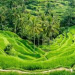 Bali: Exclusive VIP & Fully Customizable Private Luxury Trip - A Detailed Breakdown of the Itinerary