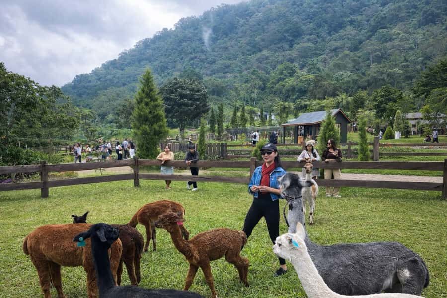 Bali: Farm House Pancasari & Strawberry Picking Tour - Who Will Love This Tour?