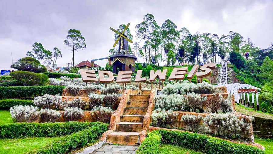 Bali: From Sacred Peaks to the Valley of Eternal Blooms - The Value of This Tour  