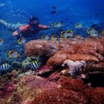 Bali : Full Day Nusa Lembongan - Snorkeling Tour - Detailed Breakdown of the Itinerary