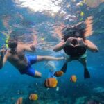 Bali Full Day Trip Fishing, Snorkeling,Eat in Candidasa - What Makes This Tour Stand Out