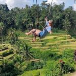 BALI: Full day Ubud tour highlight with purification ritual - The Value of This Tour
