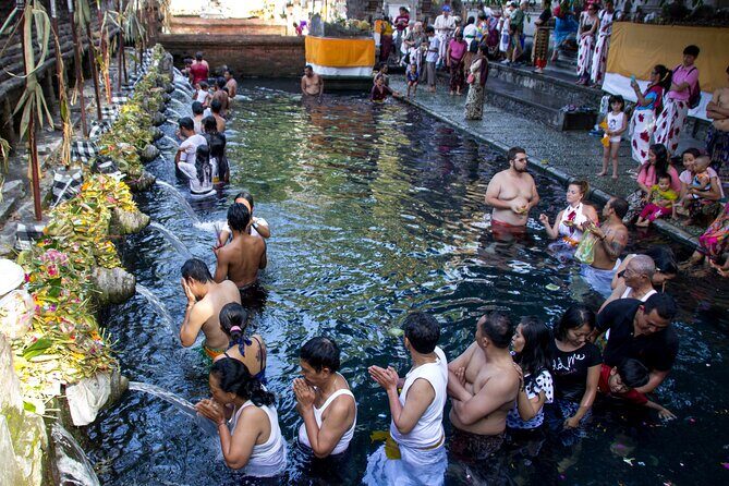 Bali Half Day Cultural and Nature - Practical Details That Matter