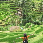 Bali Highlight Private Packages Tours 3 Days - What’s Included & What’s Not