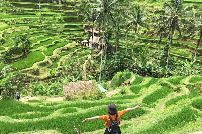 Bali Highlight Private Packages Tours 3 Days - What’s Included & What’s Not