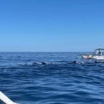 Bali Honeymoon Package 7D6N-Romantic journey - The Value and Practicalities